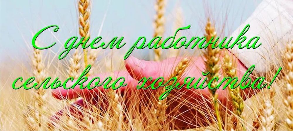 День Сельхозработника 2021 Поздравления В Кемеровском Районе
