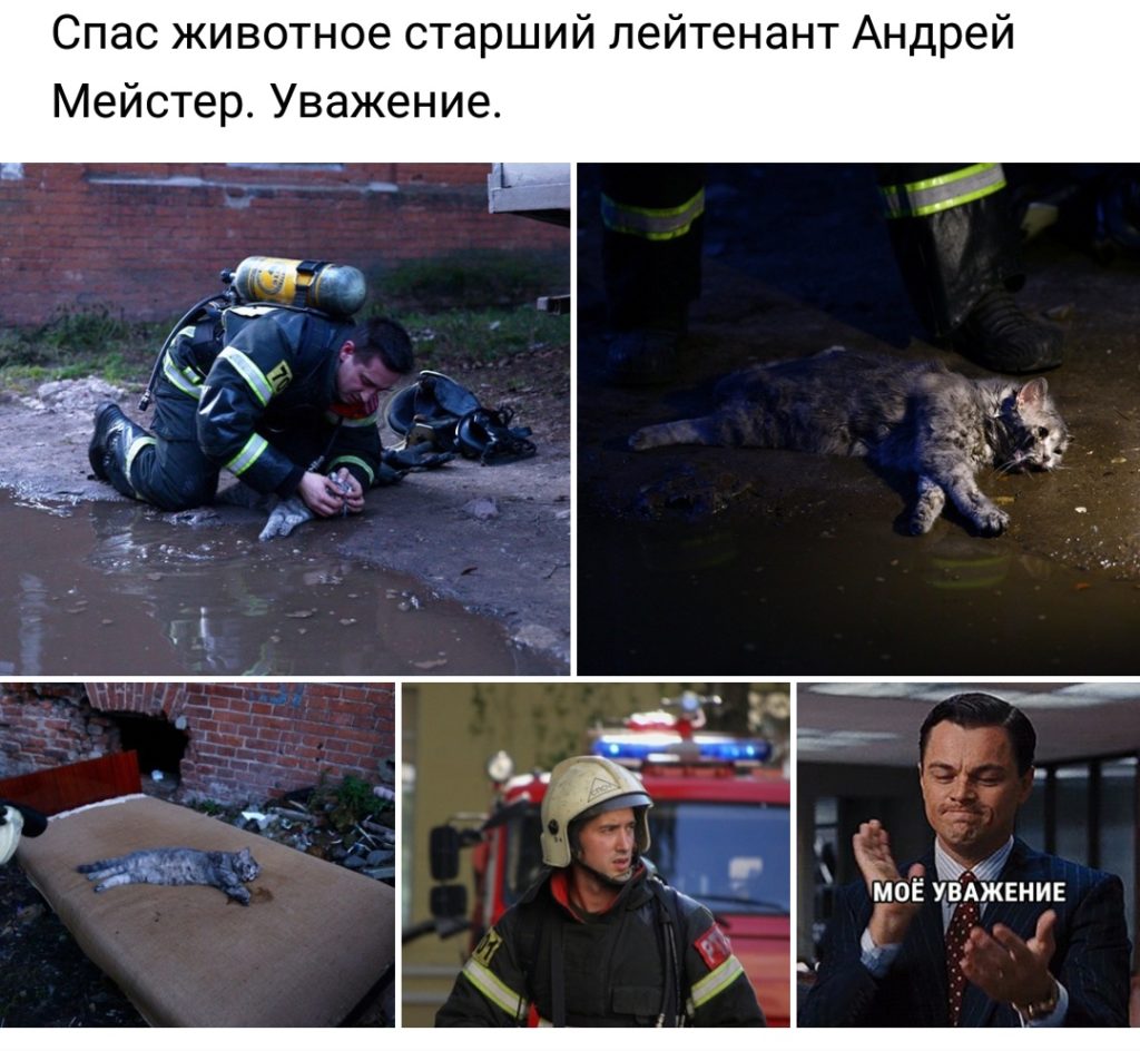 Как спасли котика в Твери: ВИДЕО Как спасли котика в Твери: ВИДЕО