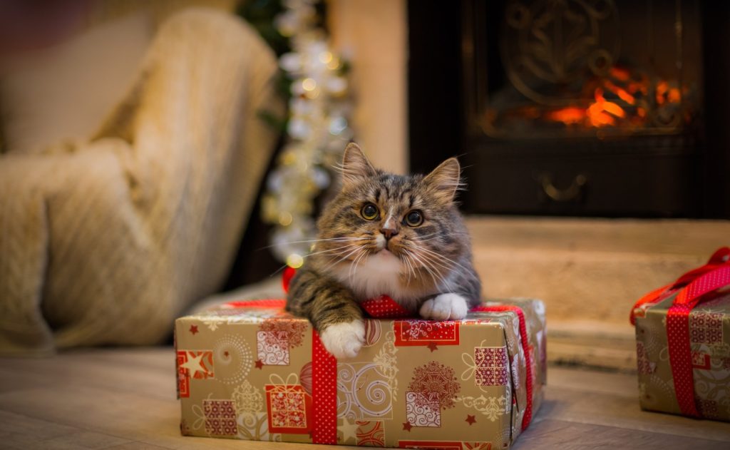 Тверьлайф не может остановиться, мы постоянно разыгрываем призы Тверьлайф не может остановиться, мы постоянно разыгрываем призы