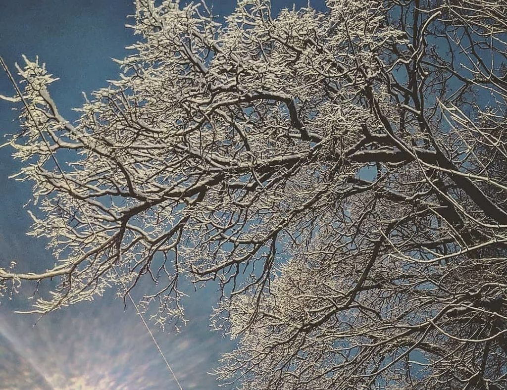 К концу недели в Тверской области обещают потепление и снег