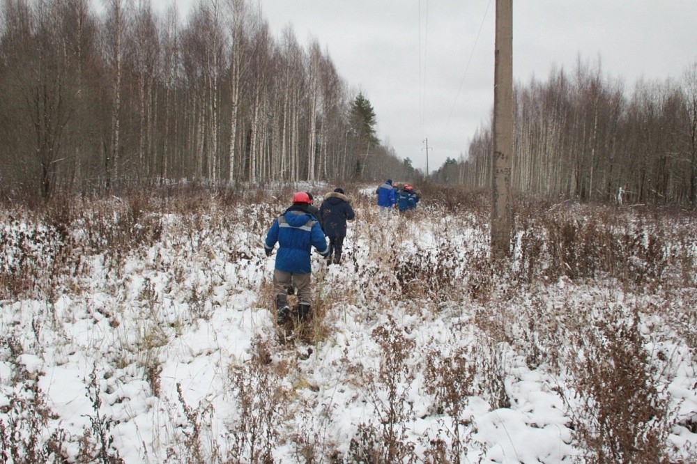 Энергетики «Россети Центр» оперативно ликвидировали последствия стихии в электросетевом комплексе Тверской области