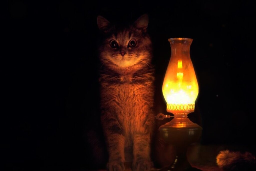 В Твери вновь не будет света