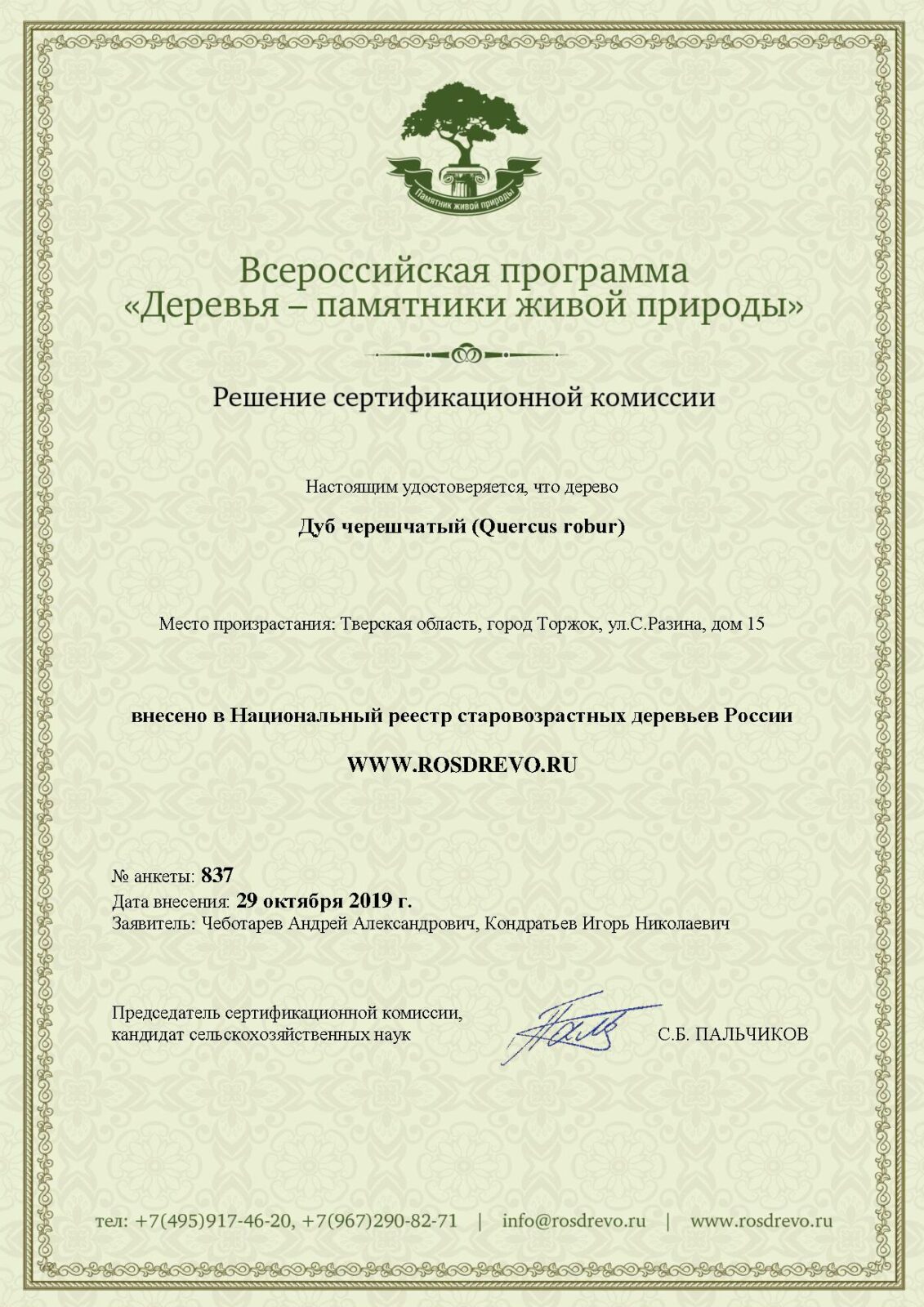 200-летний дуб в Торжке стал памятником природы