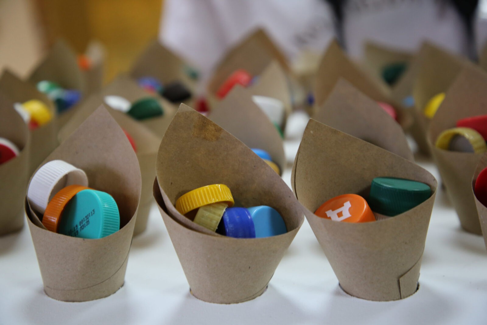 Тверские студенты дали старт сбору пластмассовых крышечек