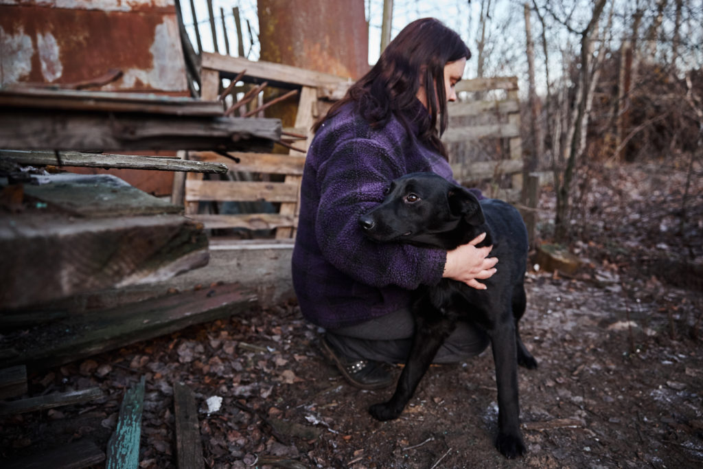 Помоги бездомным собачкам найти свой дом в Твери