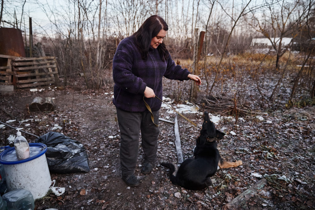 Помоги бездомным собачкам найти свой дом в Твери