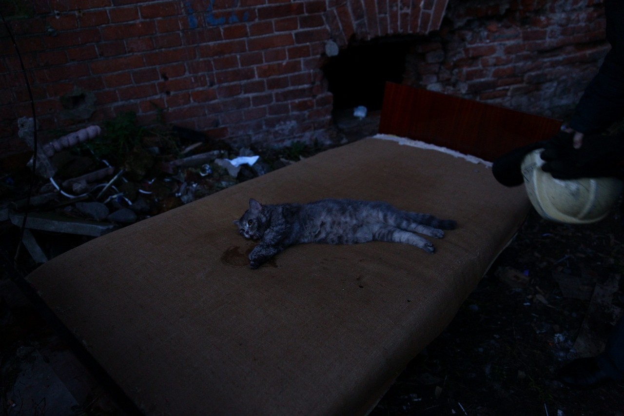 Более 30 человек и котика спасли из пожара в Морозовских казармах в Твери