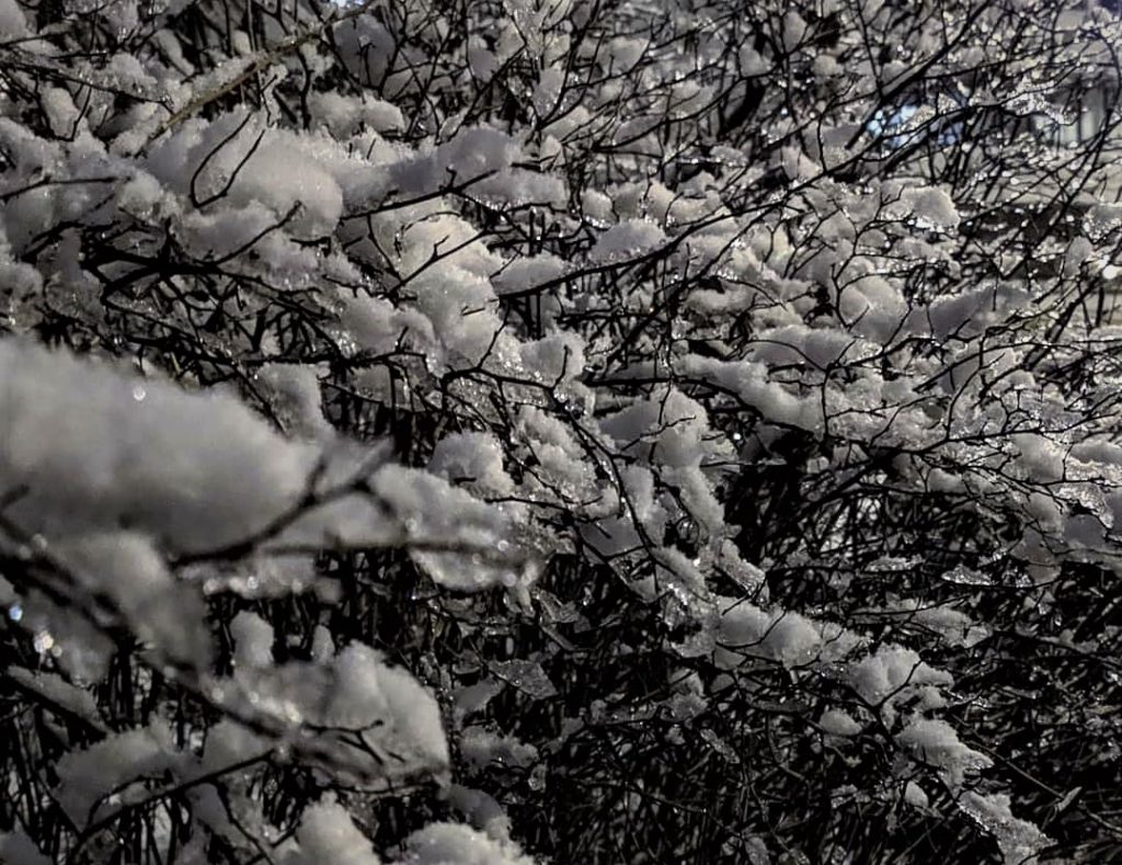 В Тверской области похолодает