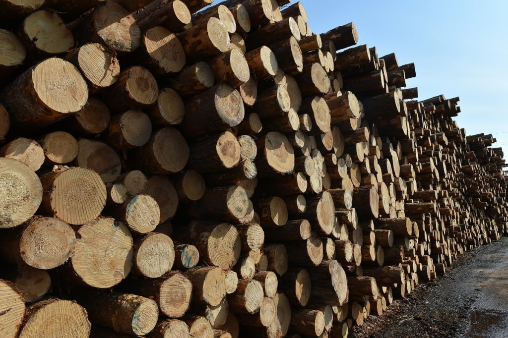 Встреча Игоря Рудени с инвестором в сфере лесопереработки отражена в «Губернаторской повестке»