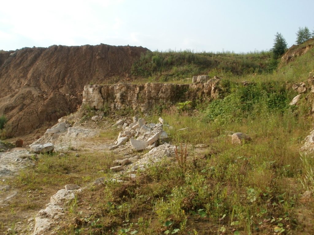 Очень древняя история про Тверскую область: пляжи и морские ежи в Торопце