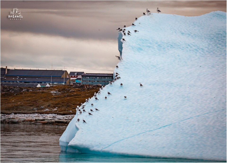 Между нами тает лёд: как тверской парень водит экспедиции через шторма в Антарктиду  