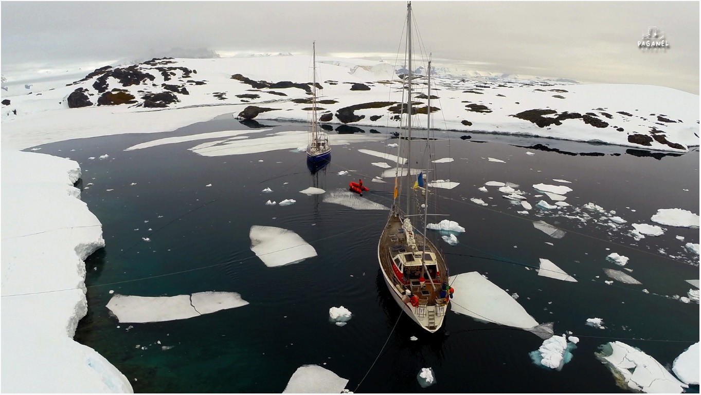 Между нами тает лёд: как тверской парень водит экспедиции через шторма в Антарктиду  