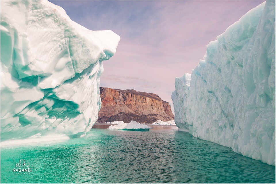 Между нами тает лёд: как тверской парень водит экспедиции через шторма в Антарктиду  