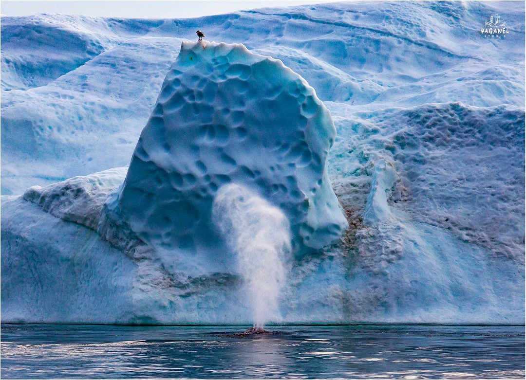 Между нами тает лёд: как тверской парень водит экспедиции через шторма в Антарктиду  