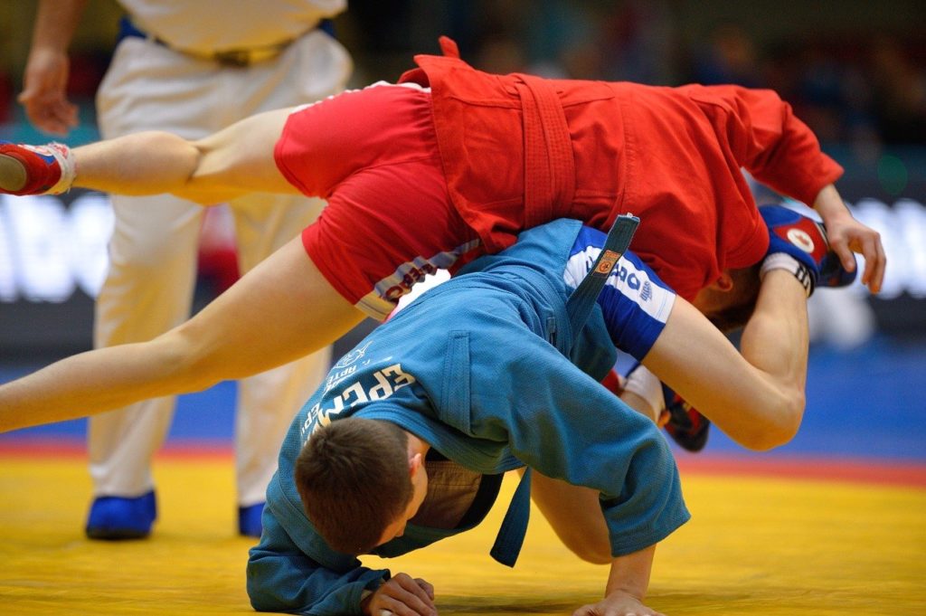 Чемпионат Всемирной федерации боевого самбо пройдет в Тверской области Чемпионат Всемирной федерации боевого самбо пройдет в Тверской области