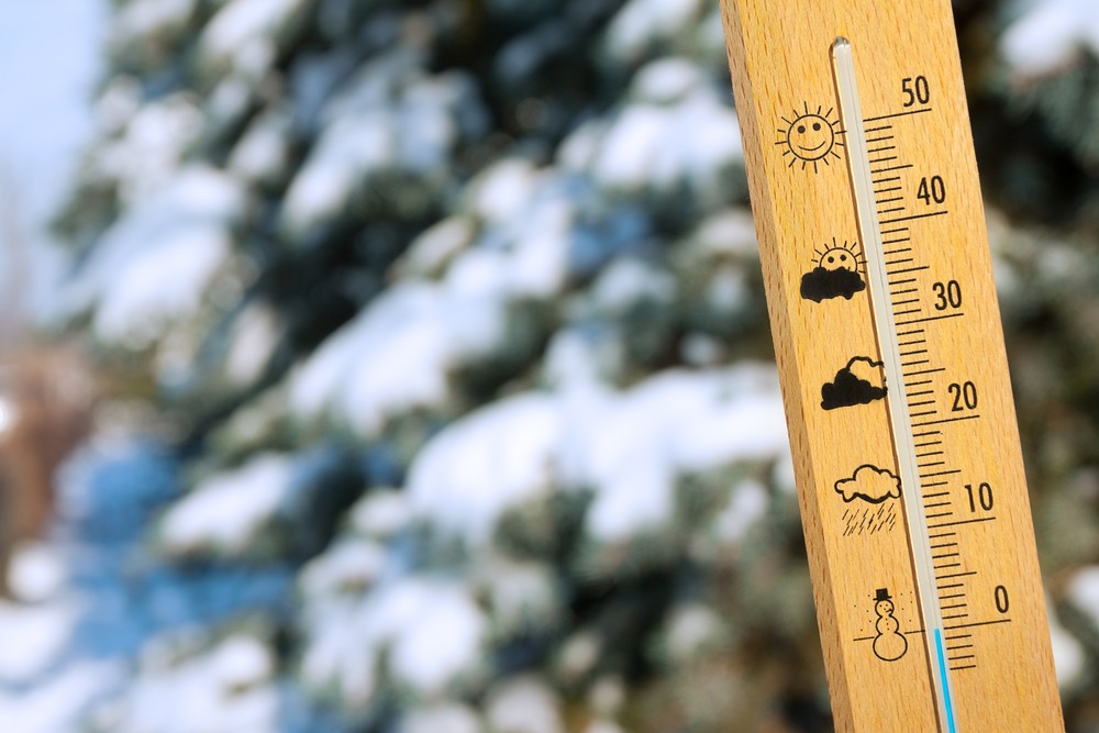 Зима в Тверской области продолжает оставаться аномально теплой