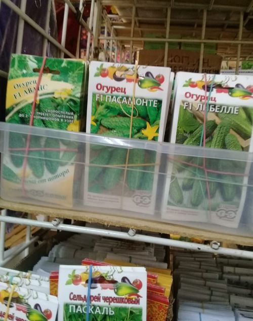 На рынках в Твери выявлены нарушения законодательства в области семеноводства и карантина растений