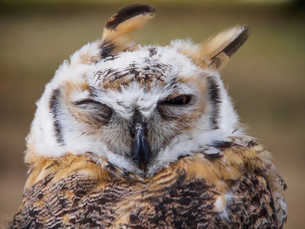 МЧС предупреждает об усилении ветра в Тверской области МЧС предупреждает об усилении ветра в Тверской области