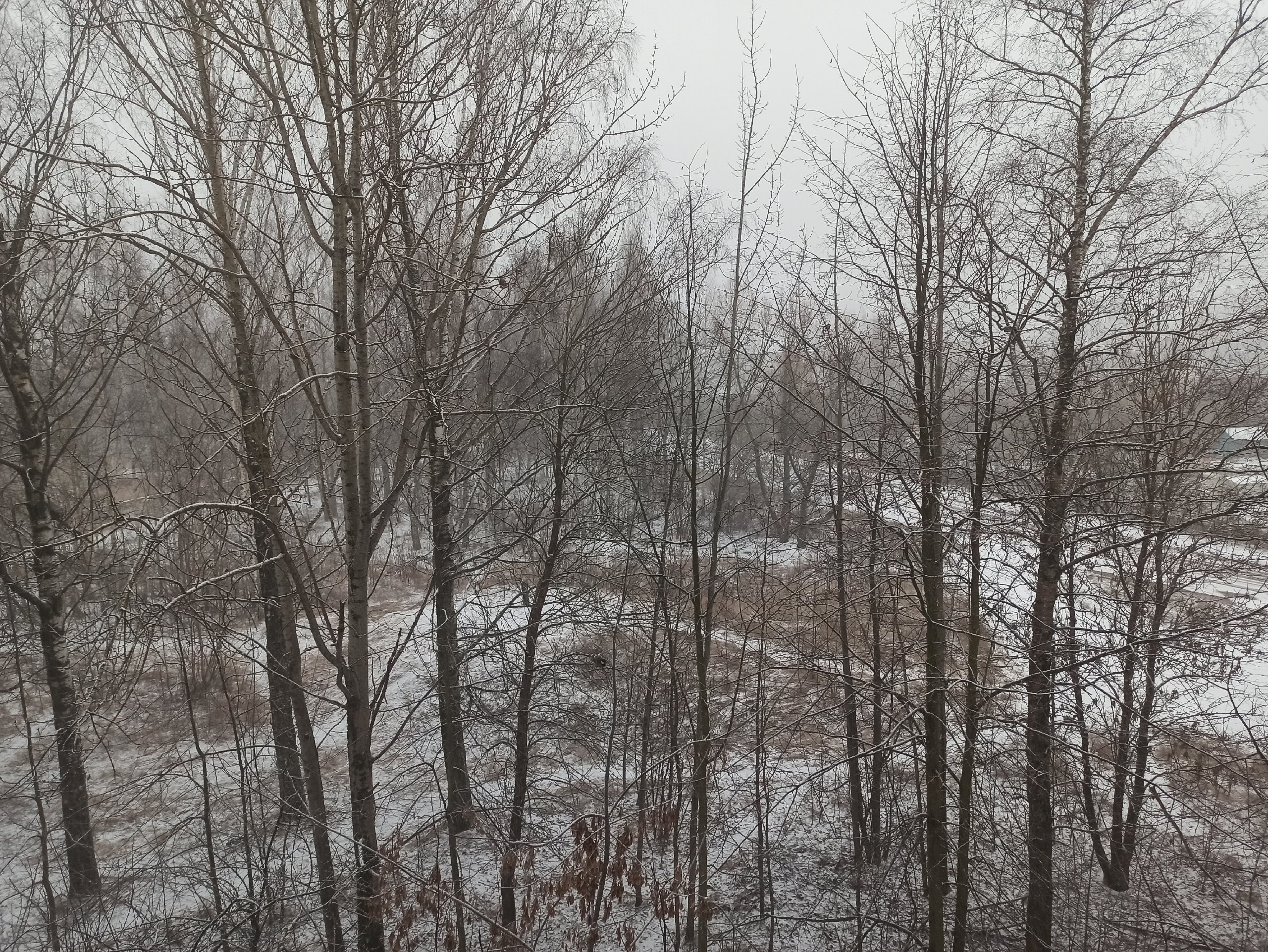 В Тверь пришел долгожданный снег ВИДЕО
