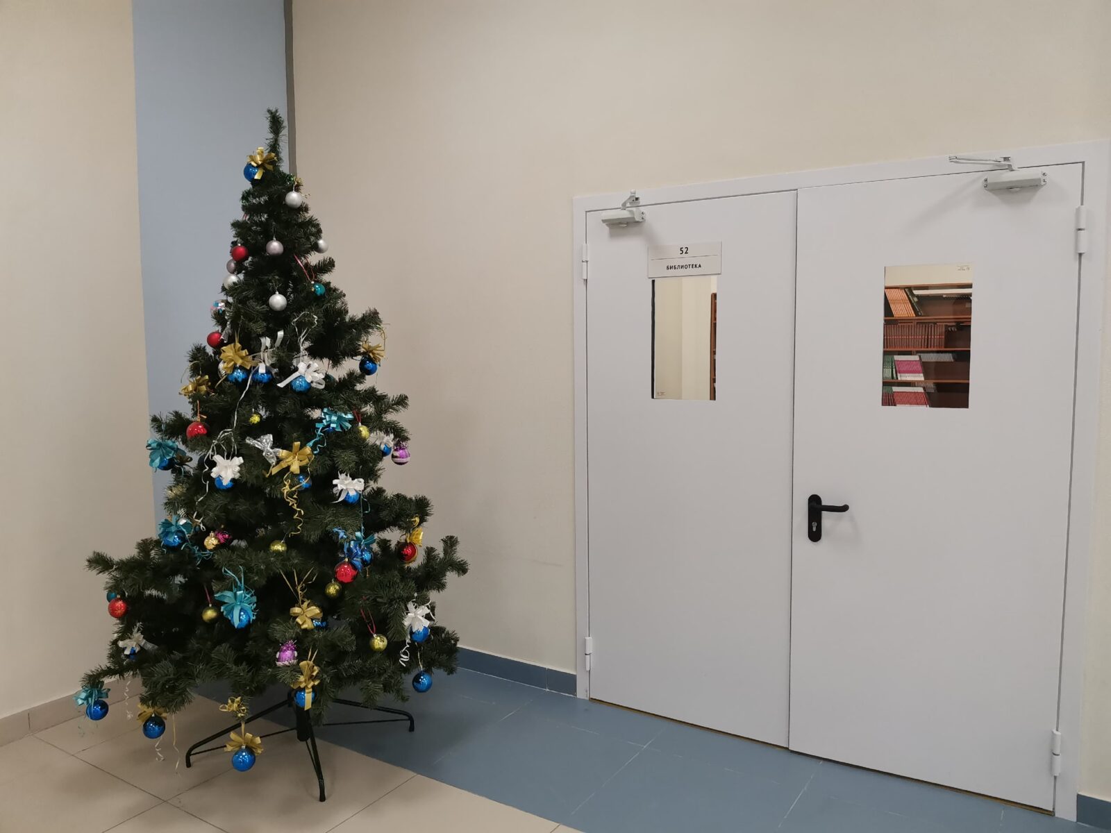 Построена новая школа на 1224 места в "Брусилово" в Твери ФОТО