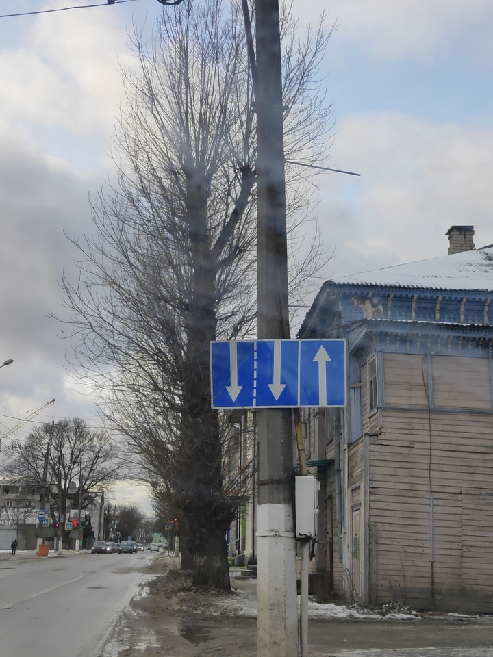 В Твери пес завел привычку выходить на неудобную крышу дома