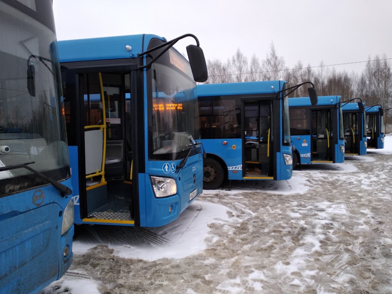 В Тверь прибыла крупная партия новых автобусов