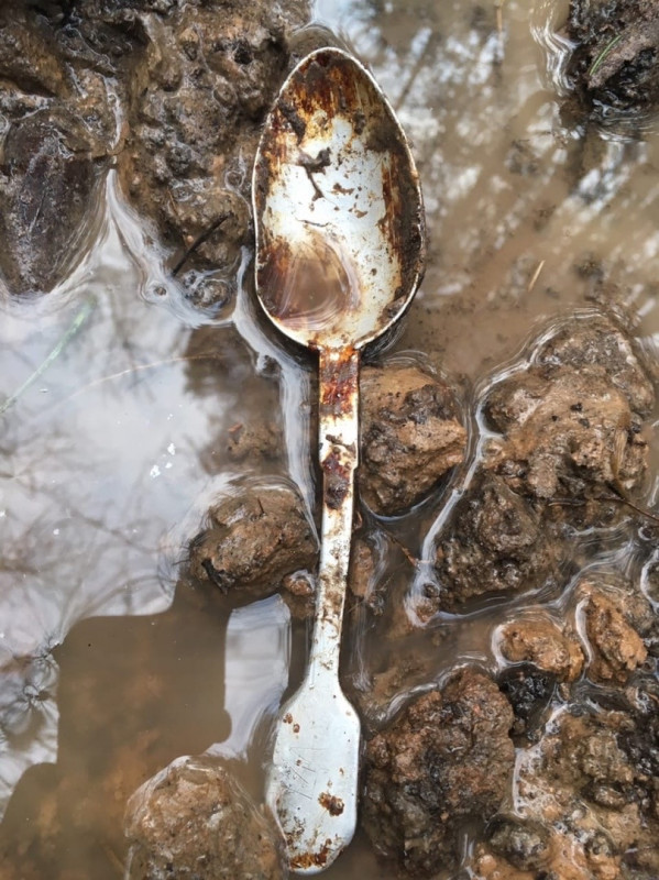 В Тверской области в лесу обнаружили останки солдата