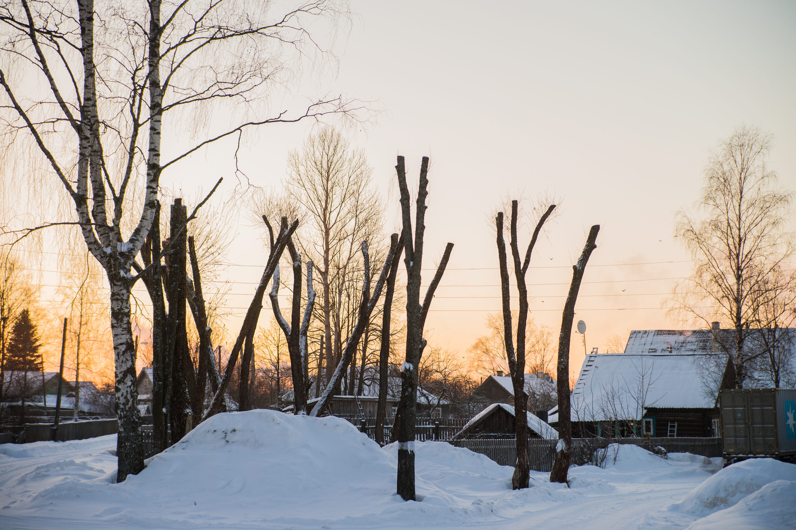 Писательница София Синицкая предоставила "Тверьлайф" отрывок новой повести