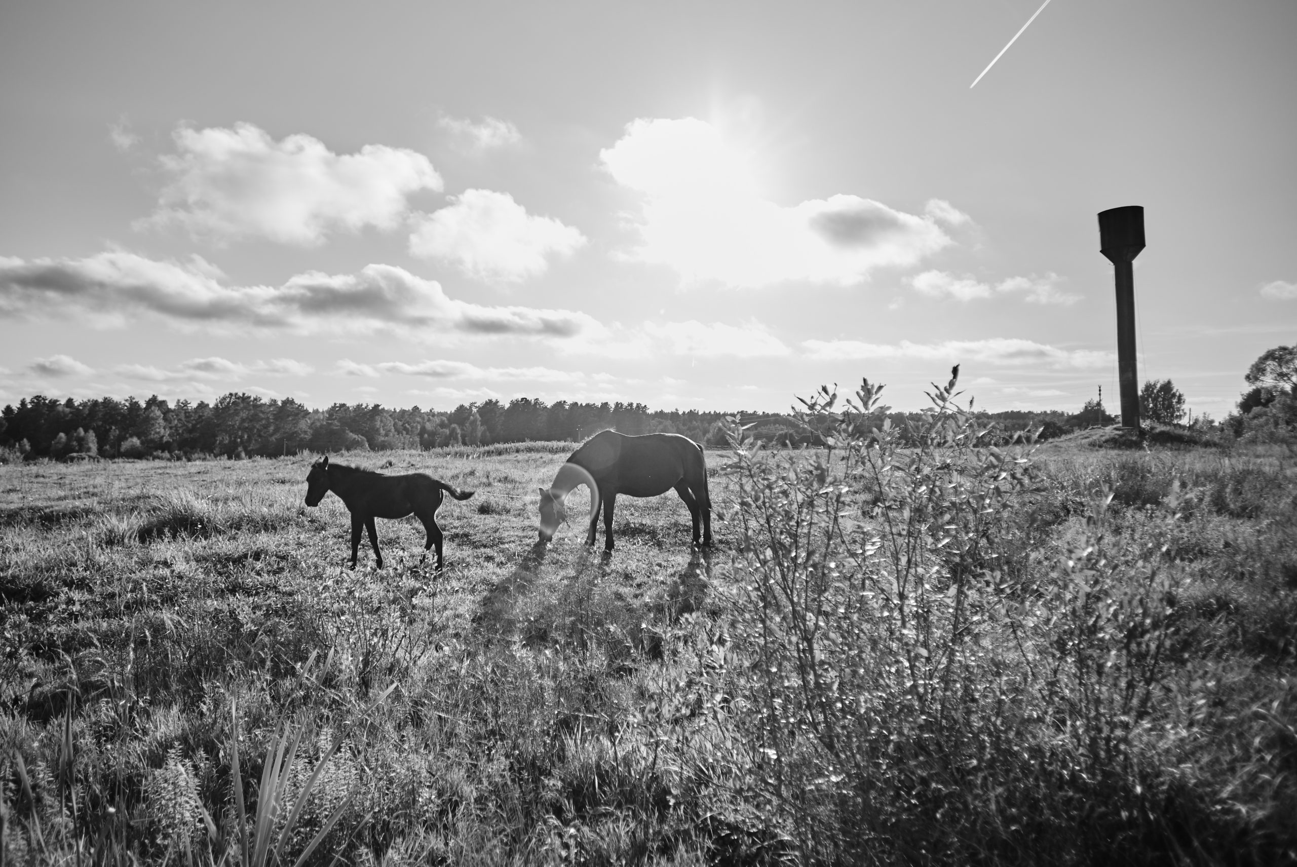 Писательница София Синицкая предоставила "Тверьлайф" отрывок новой повести