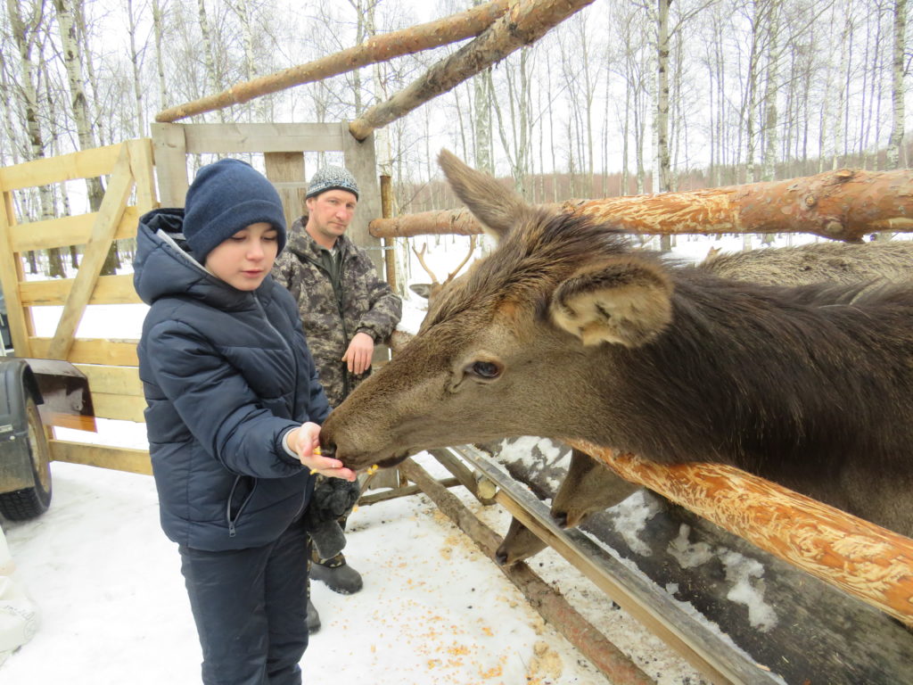 Ребята из социально-реабилитационного центра Твери побывали на оленьей ферме