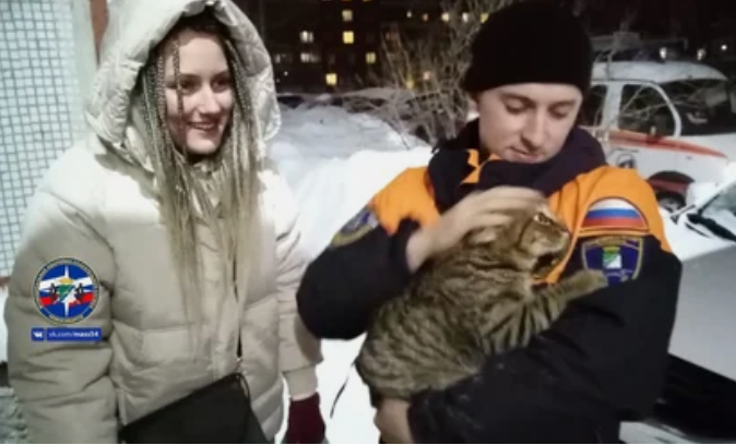 Тверские и новосибирские спасатели снискали славу в сети после спасения кошек Тверские и новосибирские спасатели снискали славу в сети после спасения кошек