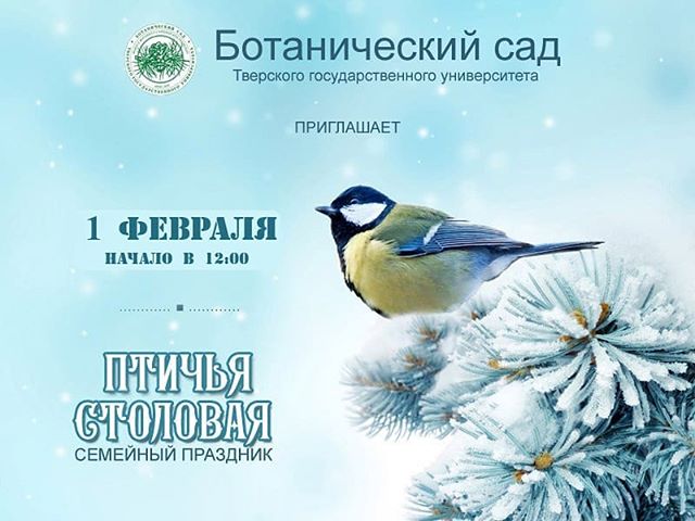 В Твери выберут лучшую кормушку для птиц В Твери выберут лучшую кормушку для птиц