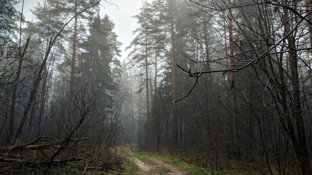 Тверскую область накроет туман