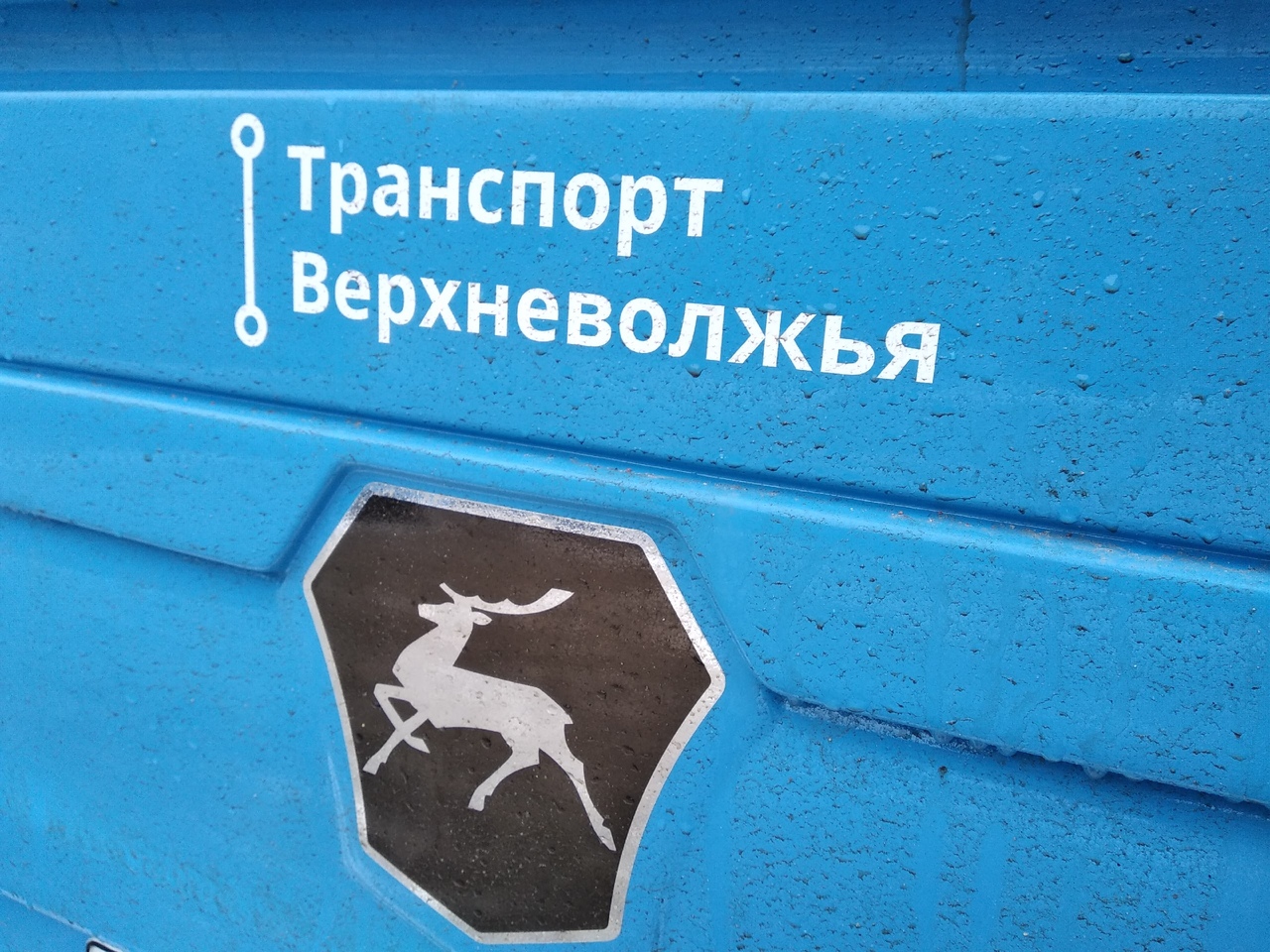 В Тверь прибыла крупная партия новых автобусов