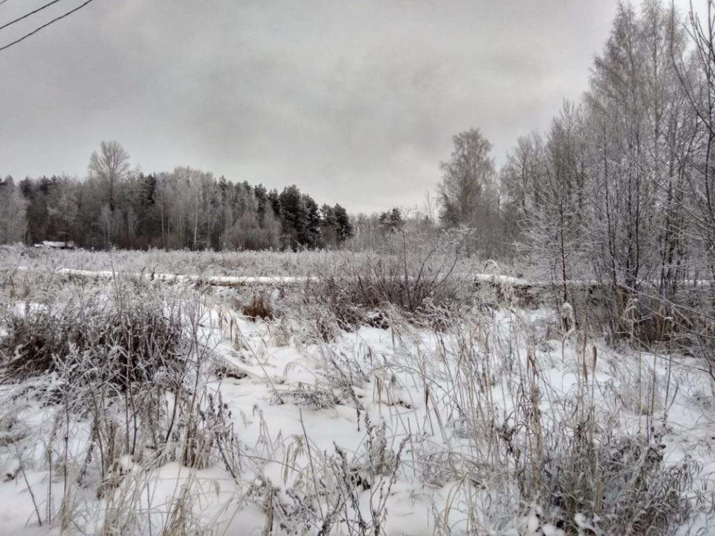 Тверские синоптики прогнозируют на завтра снег и гололедицу Тверские синоптики прогнозируют на завтра снег и гололедицу