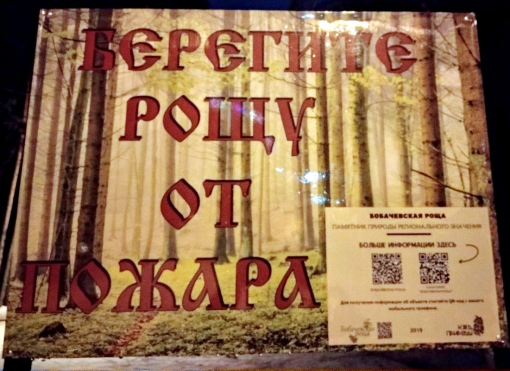 В Твери в Бобачевской роще появились информационные стенды с QR-кодами