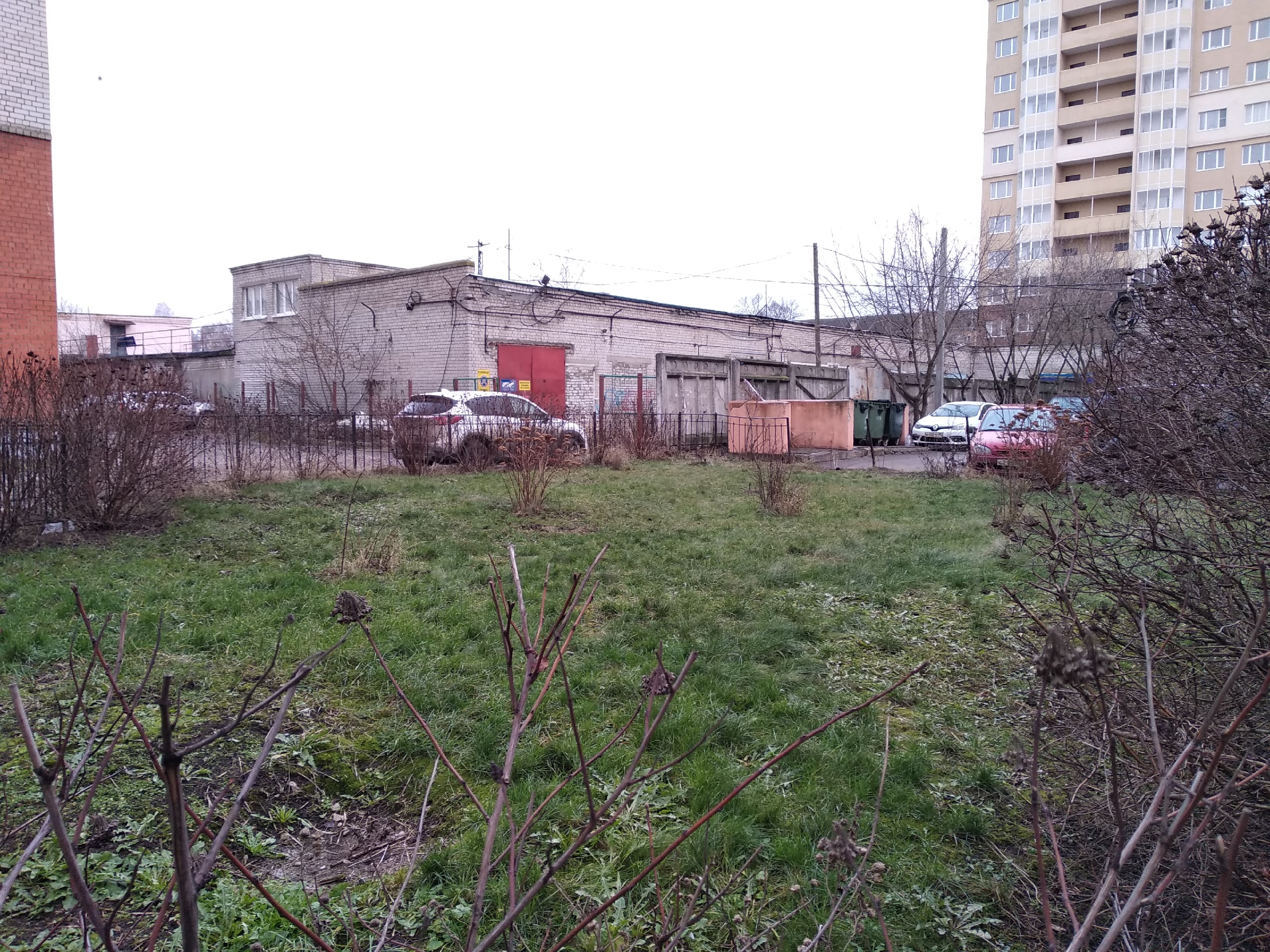 Погода подморозит осмелевшие растения в Твери