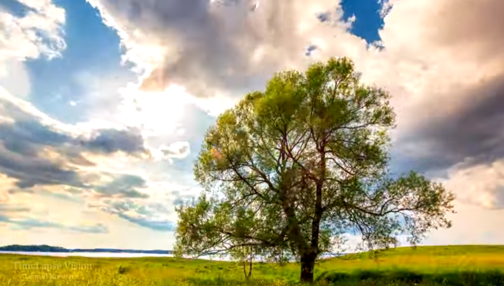 Житель Вышнего Волочка опубликовал красивейшее таймлапс-видео родного города Житель Вышнего Волочка опубликовал красивейшее таймлапс-видео родного города