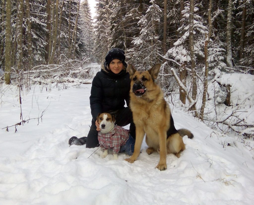 Кинолог сняла новогоднее видео с собачками в Твери Кинолог сняла новогоднее видео с собачками в Твери