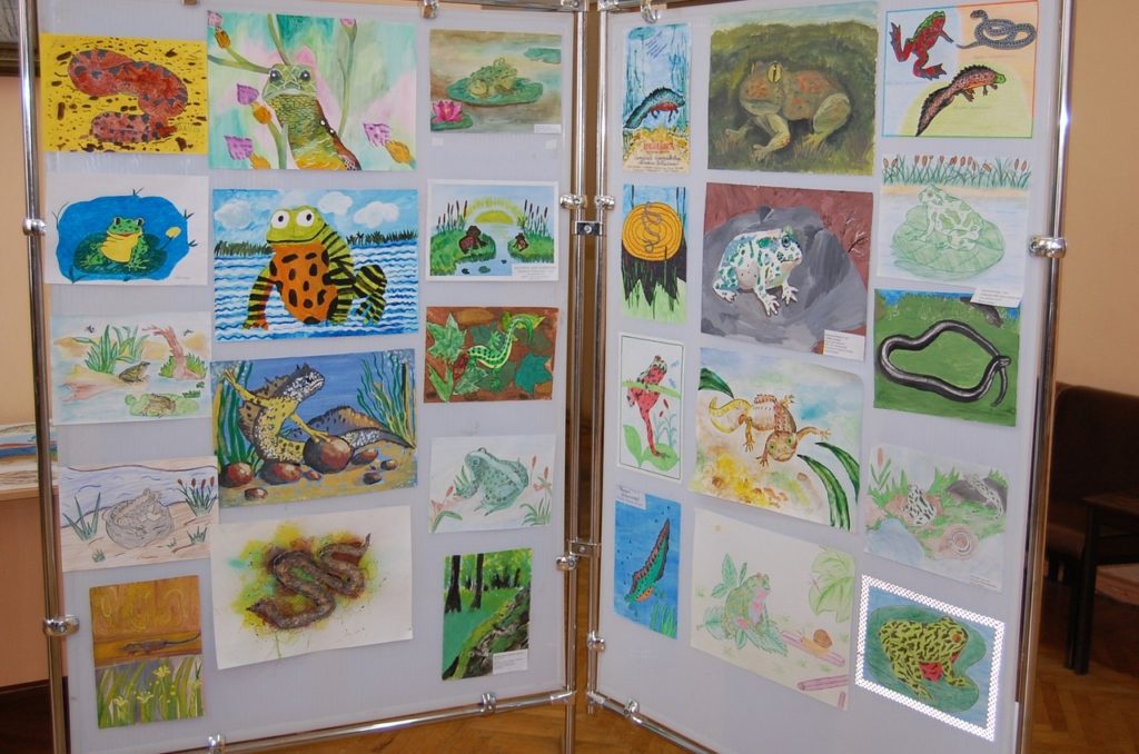 Дети рисуют красную книгу Тверской области Дети рисуют красную книгу Тверской области