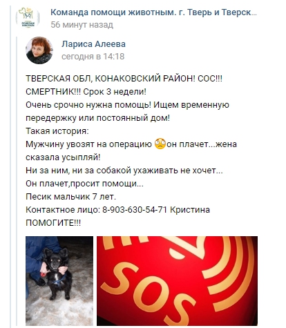 В Тверской области жена угрожает усыпить собаку больного мужа