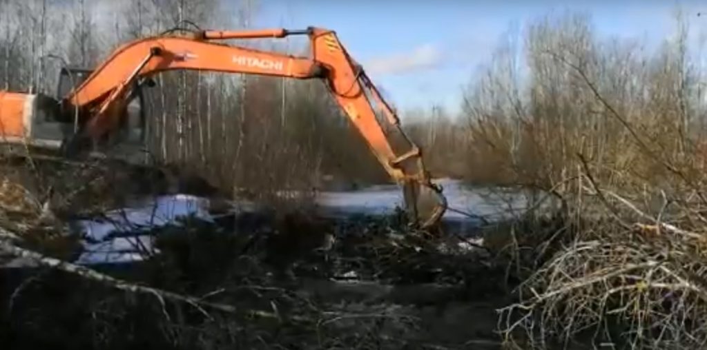 В Тверской области бобровая плотина угрожала затоплением райцентру В Тверской области бобровая плотина угрожала затоплением райцентру