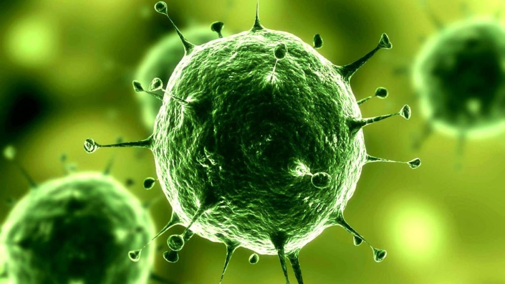 Тверская лаборатория нашла опасные бактерии в котлетах и твороге Тверская лаборатория нашла опасные бактерии в котлетах и твороге