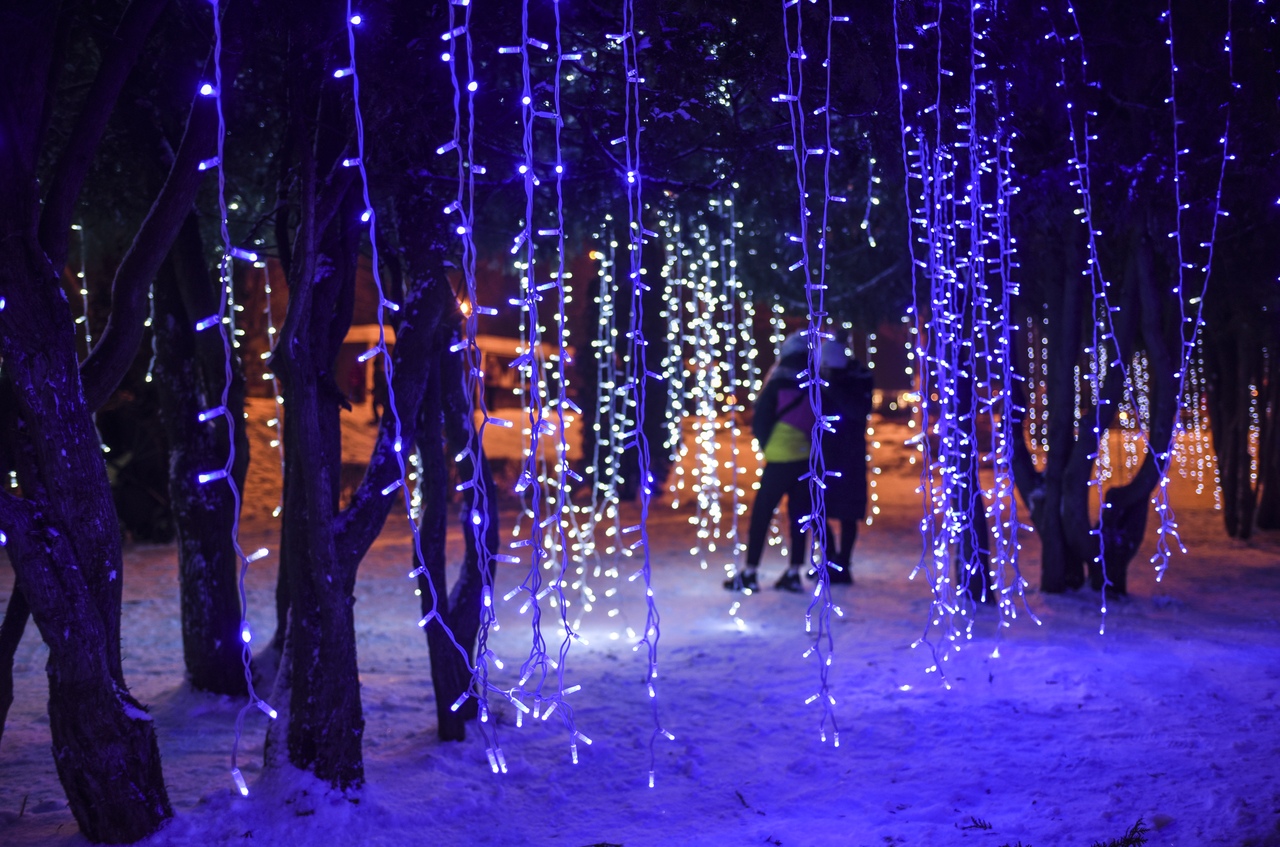 Жители и гости города спешат сфотографироваться с тверской "Эйвой"