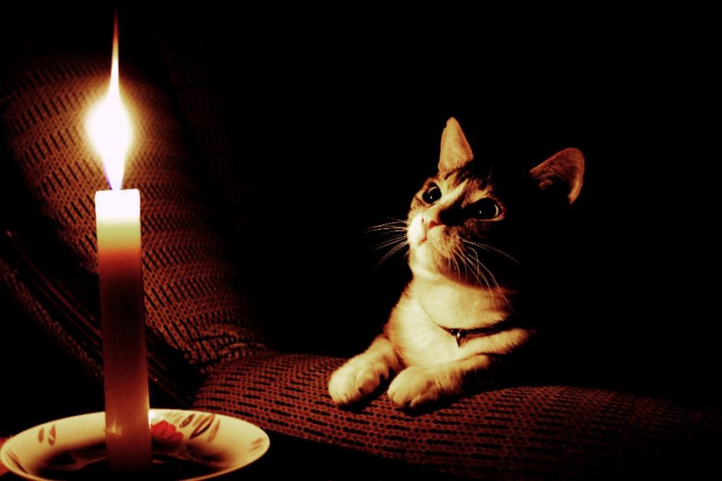 Четыре дня в Твери не будет света Четыре дня в Твери не будет света