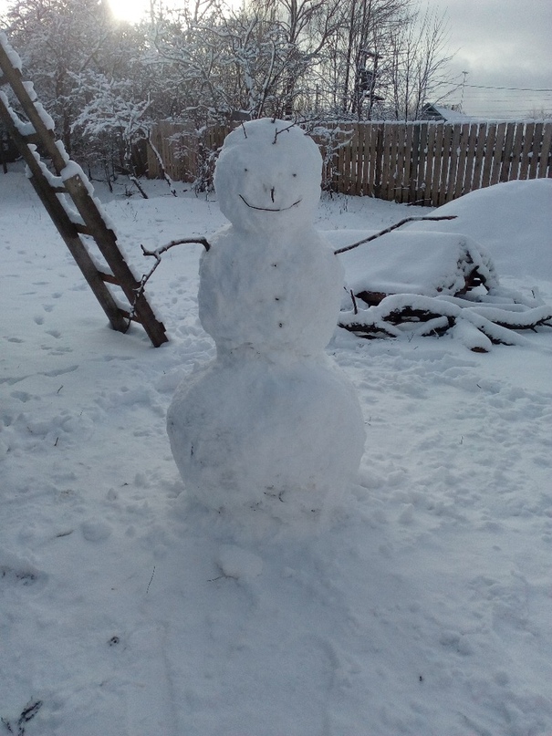 В Тверской области слепили забавных снеговиков