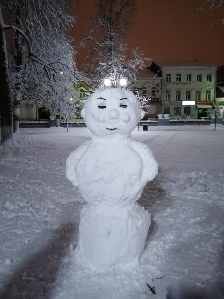 В Тверской области слепили забавных снеговиков