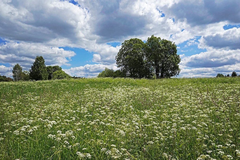 За повторное неисполнение предписания землевладелец оштрафован на 15 тыс. рублей