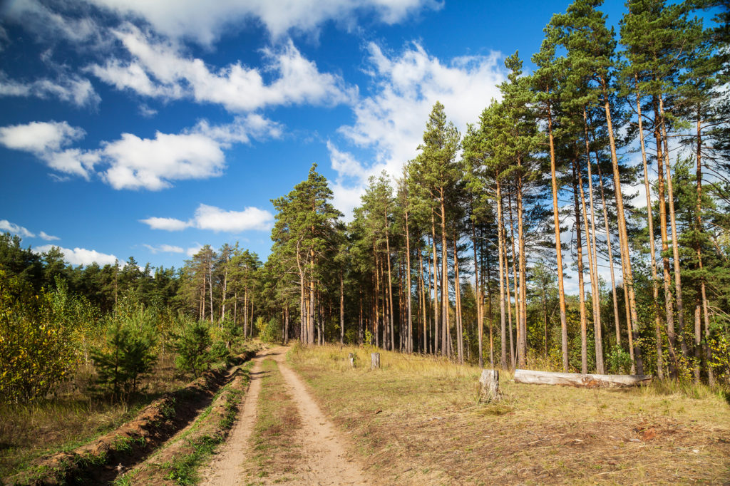 В Тверской области юридическое лицо привлечено мировым судом к административной ответственности за повторное неисполнение предписания