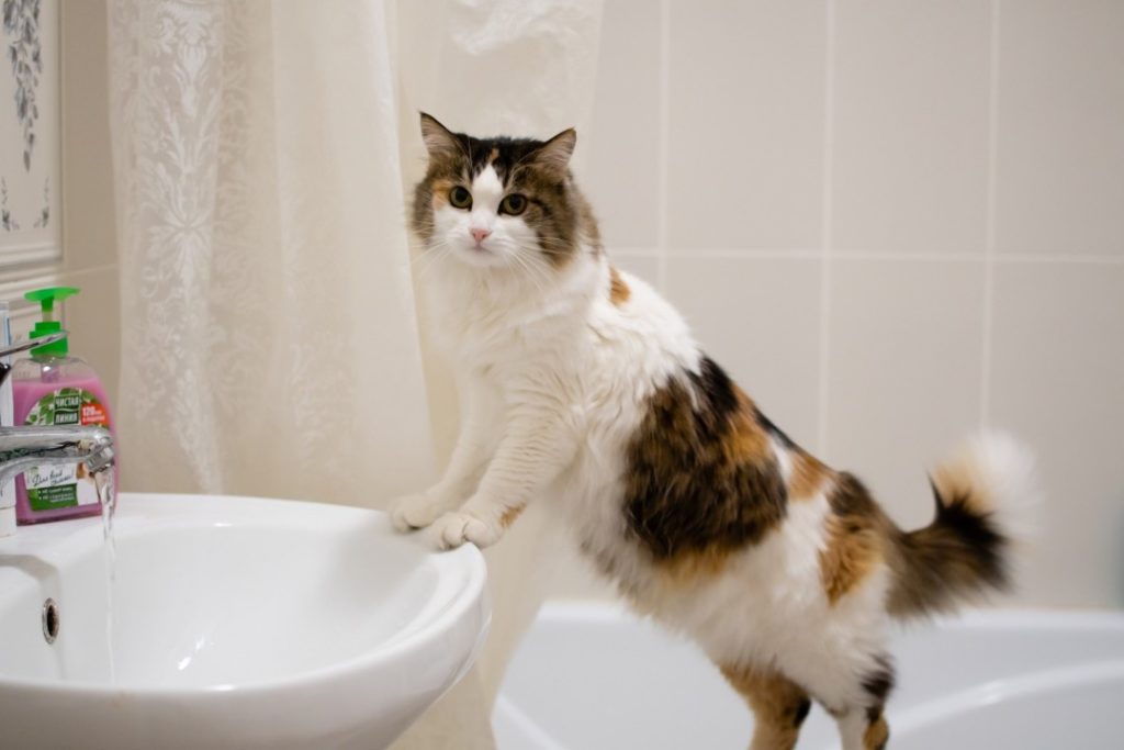 Где и когда в Твери отключат горячую воду Где и когда в Твери отключат горячую воду